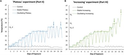 Night-Time Temperature Reprieves Enhance the Thermal Tolerance of a Symbiotic Cnidarian